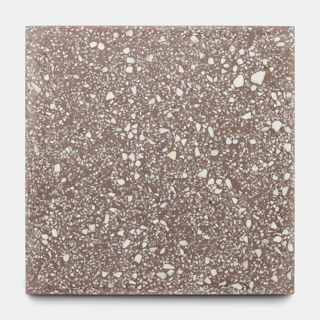 Alexander 12x12 Terrazzo