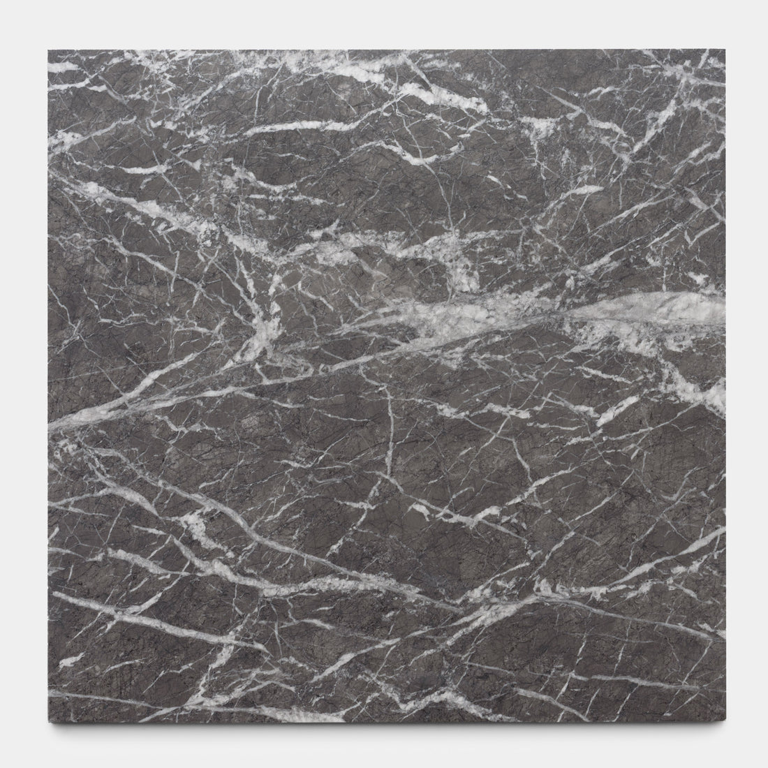 Grigio Carnico 24x24