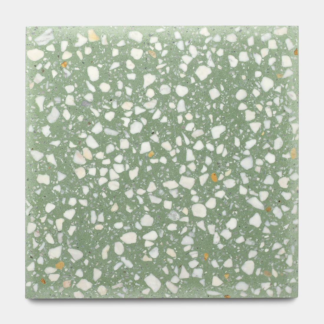 Mesquite 12x12 Terrazzo