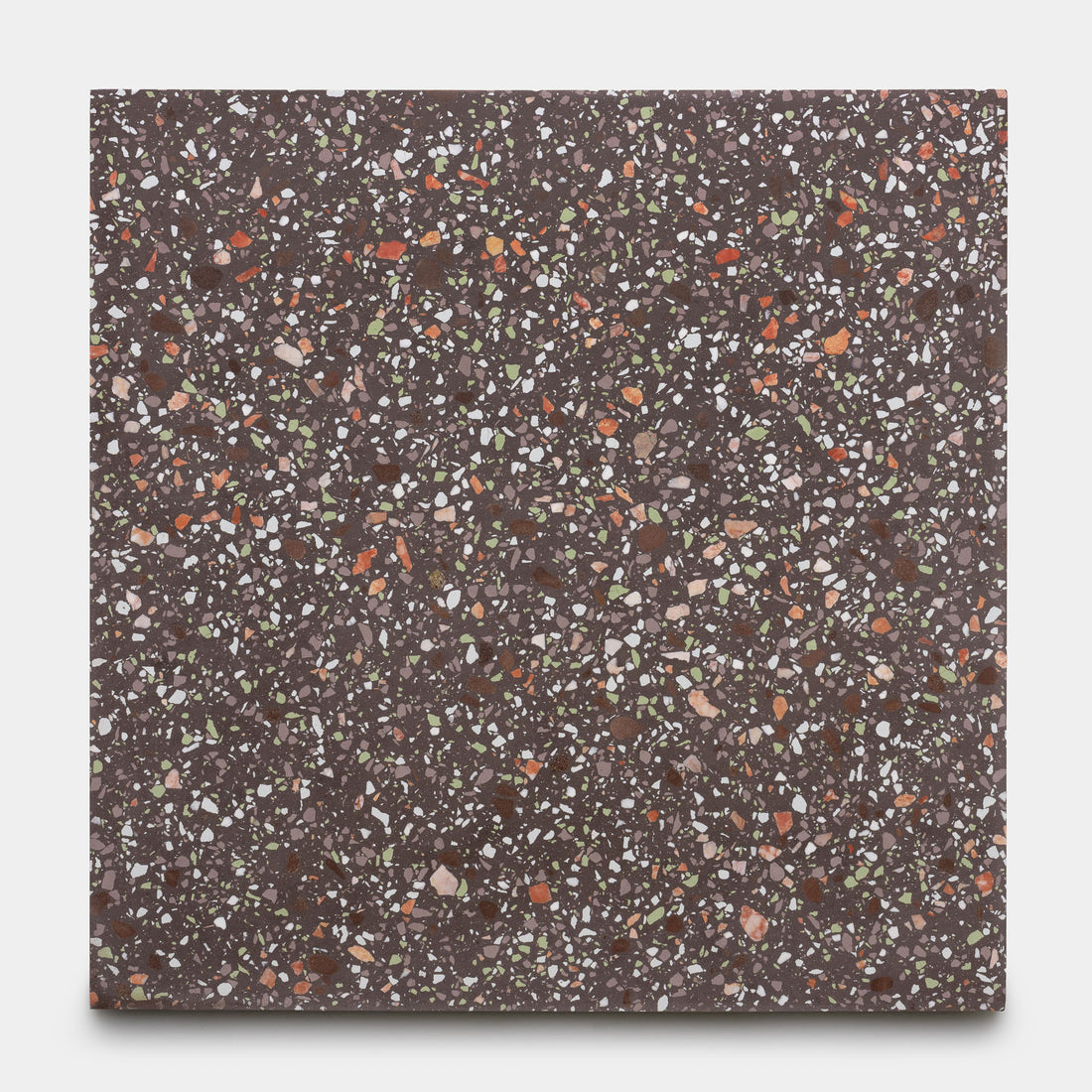 Nocino 24x24