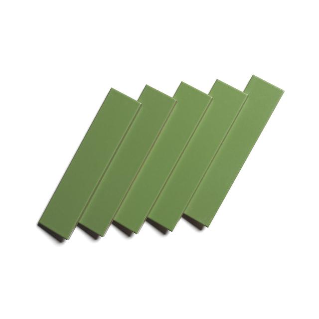 Bonsai 2x8 - Featured products Green Ceramics Product list