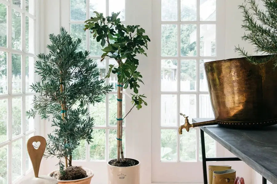 The Leo Cottage: Cement Tile At Its Most Charming