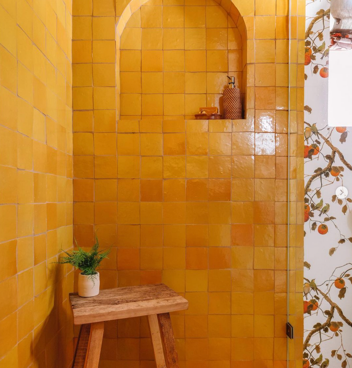 Cadmium 4x4 Square Zellige – Zia Tile