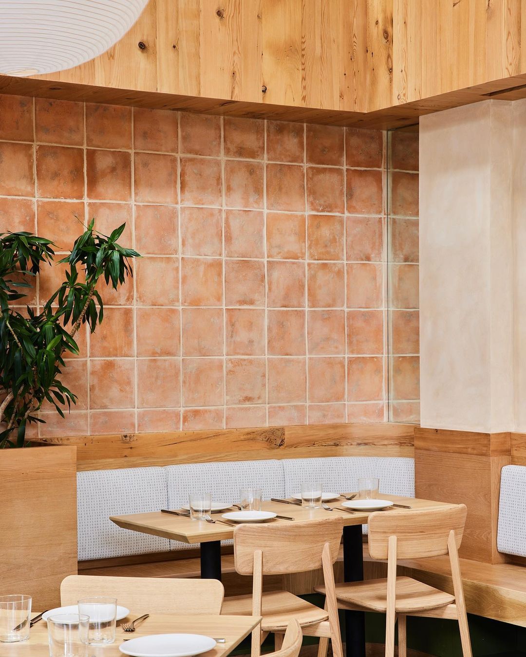 A cozy restaurant interior featuring wooden tables and chairs, a corner bench with a white cushion, terracotta tiled walls, and a green potted plant for a warm and inviting atmosphere.
