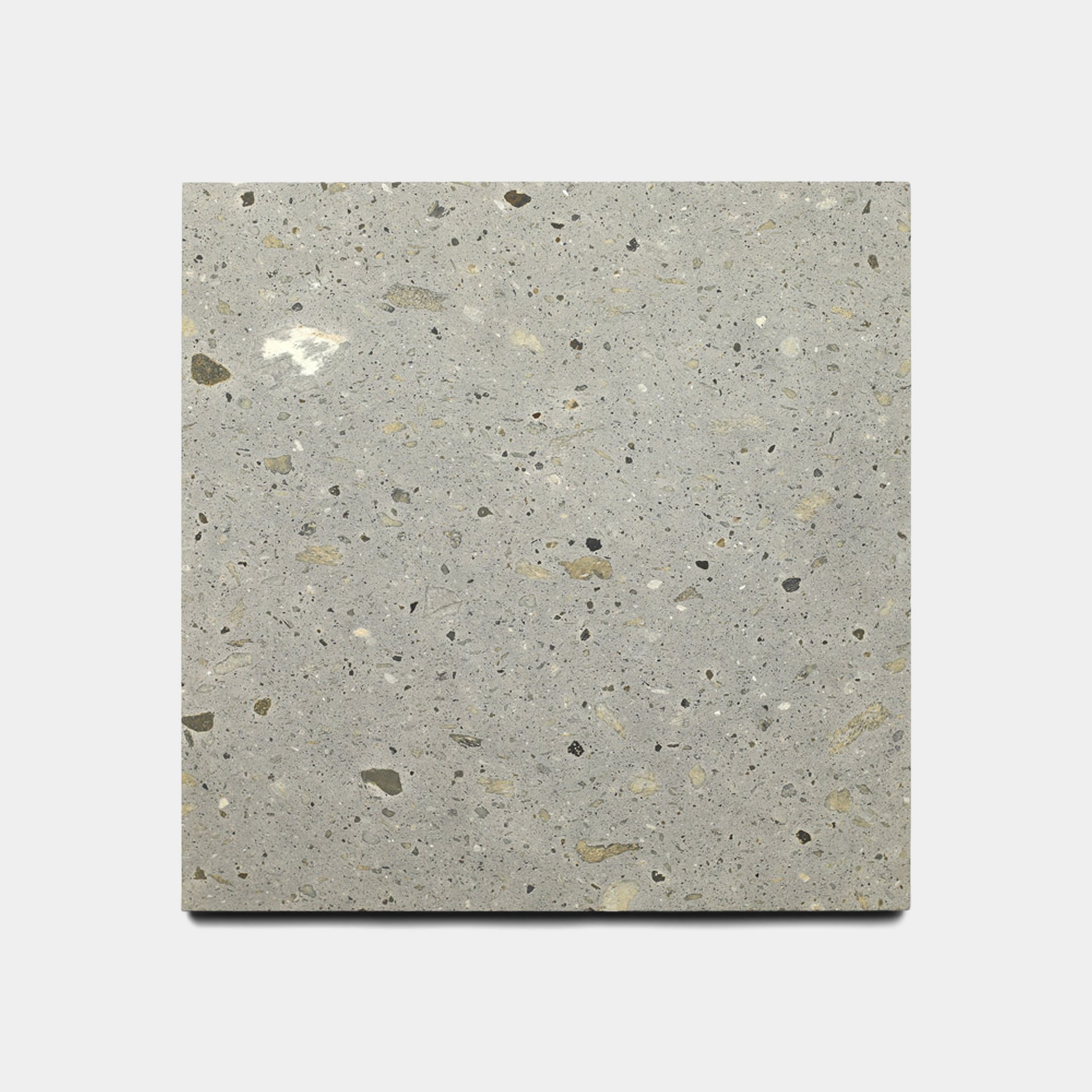 Cantera - Acacia - 12x12