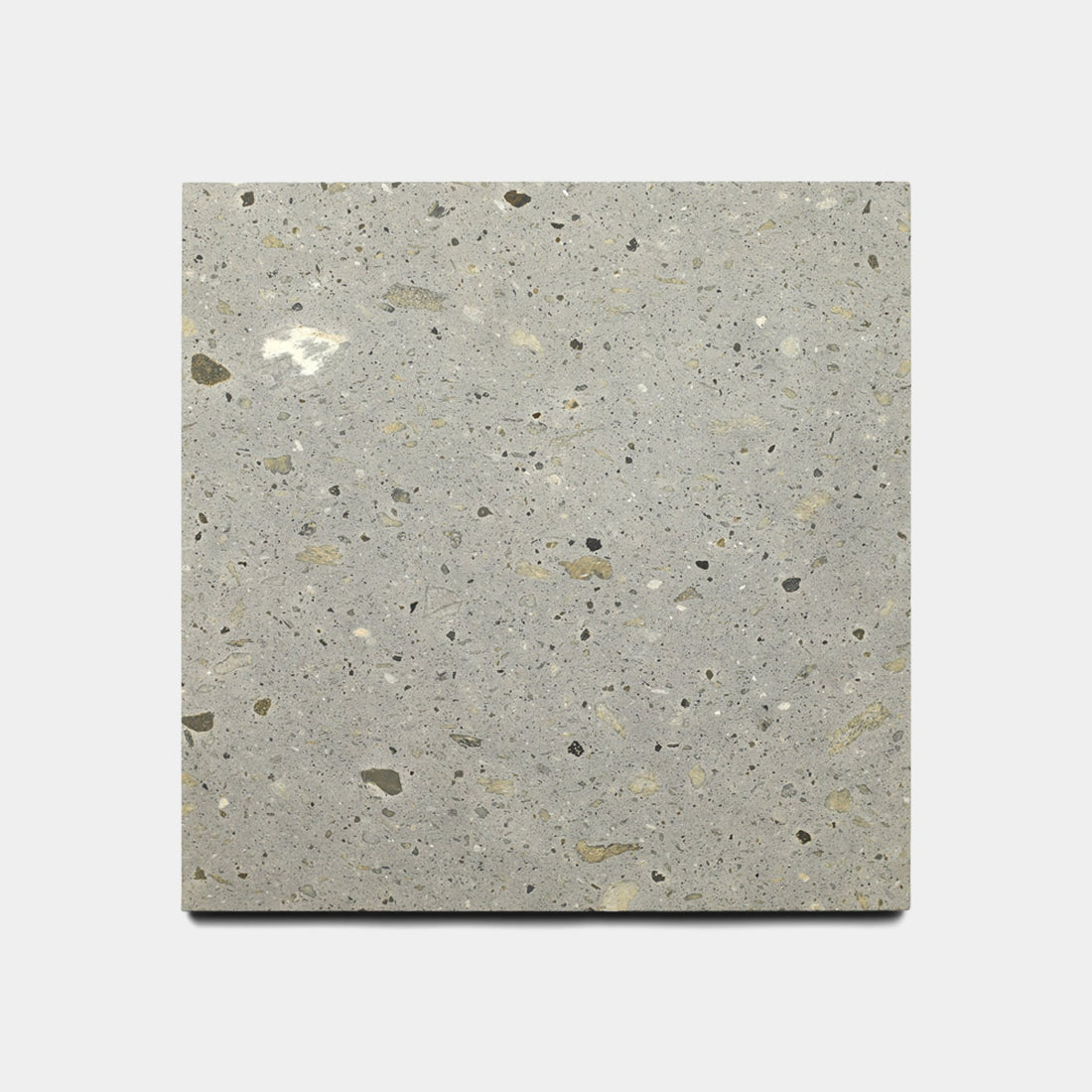 Cantera - Acacia - 12x12