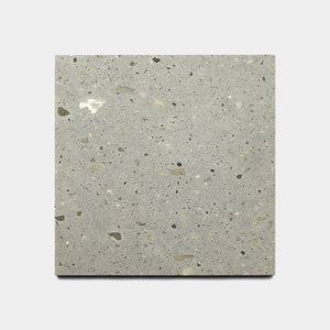 Cantera - Acacia - 12x12