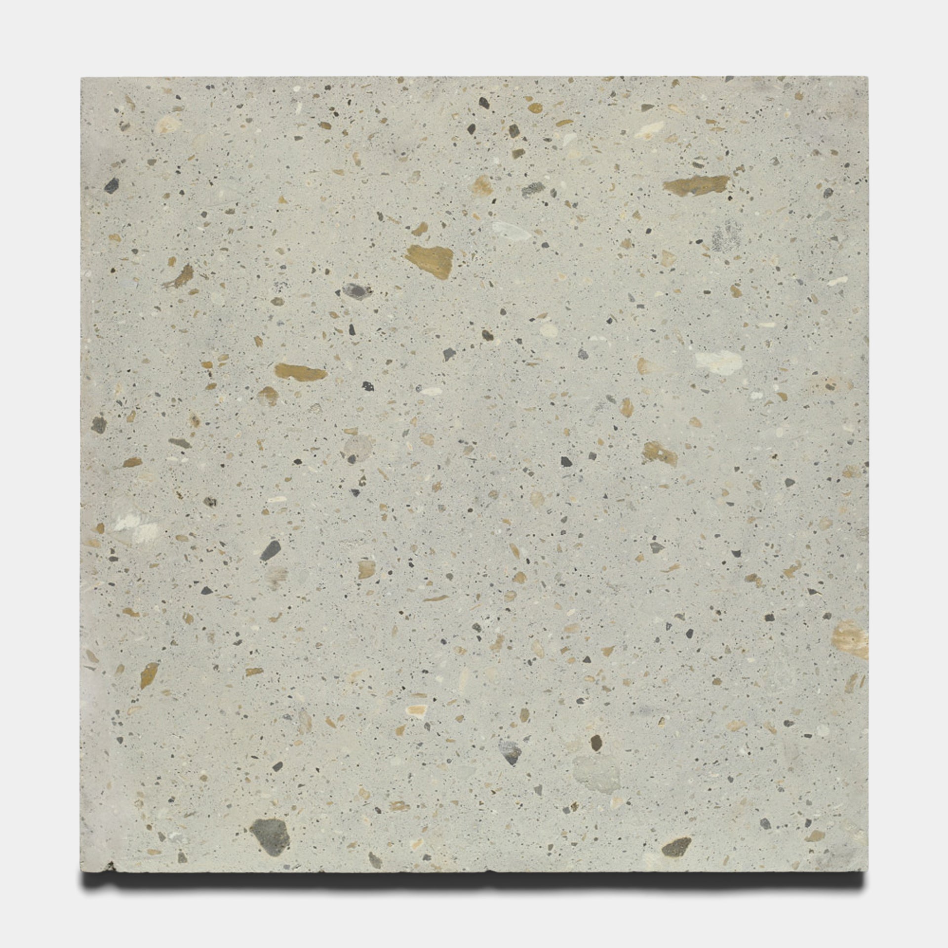 Cantera - Acacia - 24x24