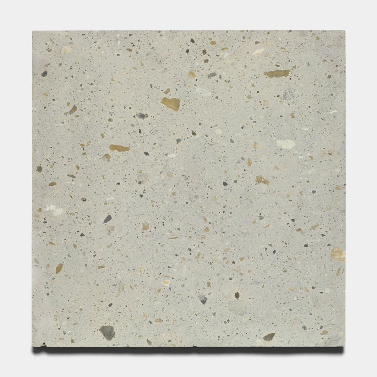 Cantera - Acacia - 24x24