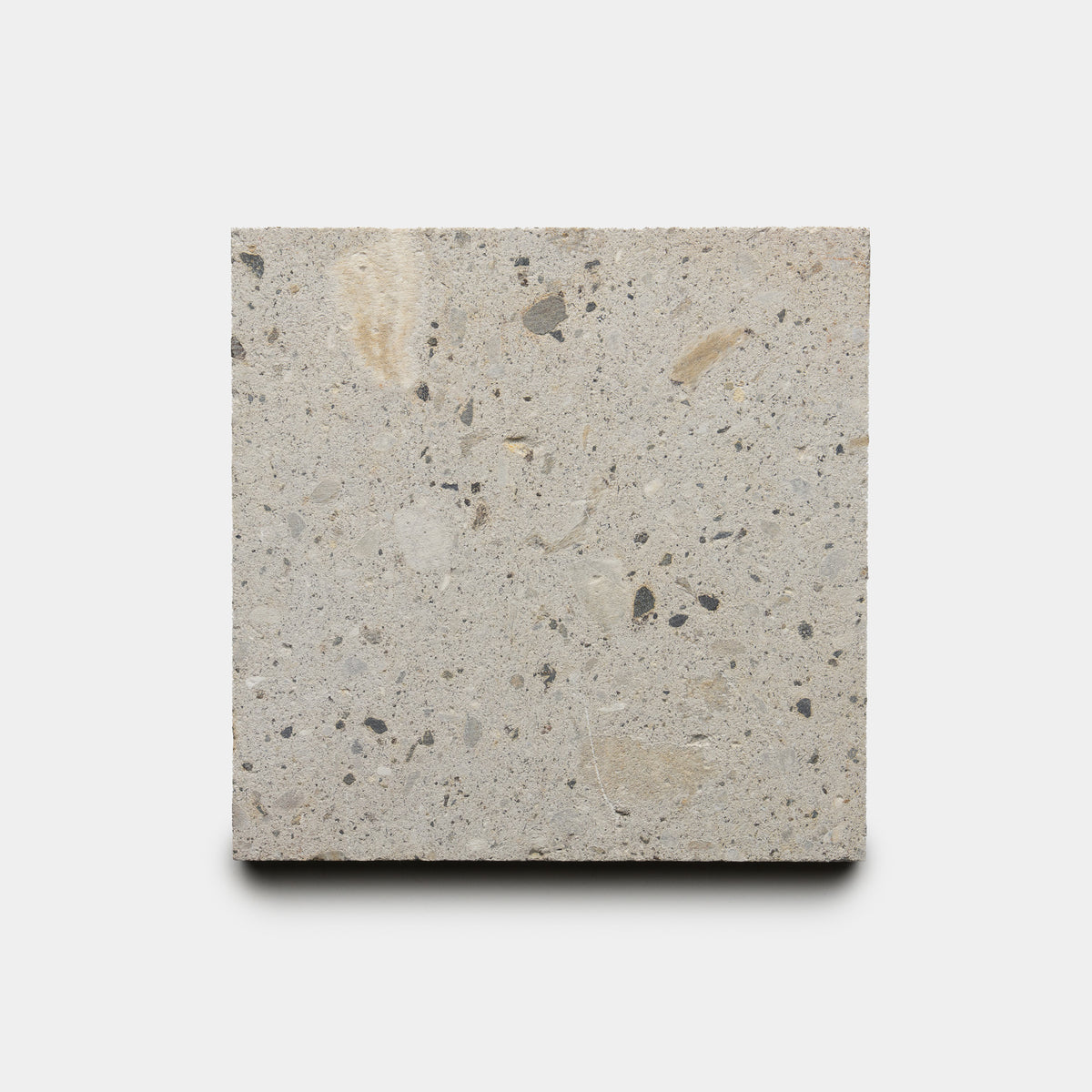 The Acacia 6x6 by Zia Tile is a square light gray terrazzo tile featuring small, irregular neutral stone flecks, shown on a plain white background.