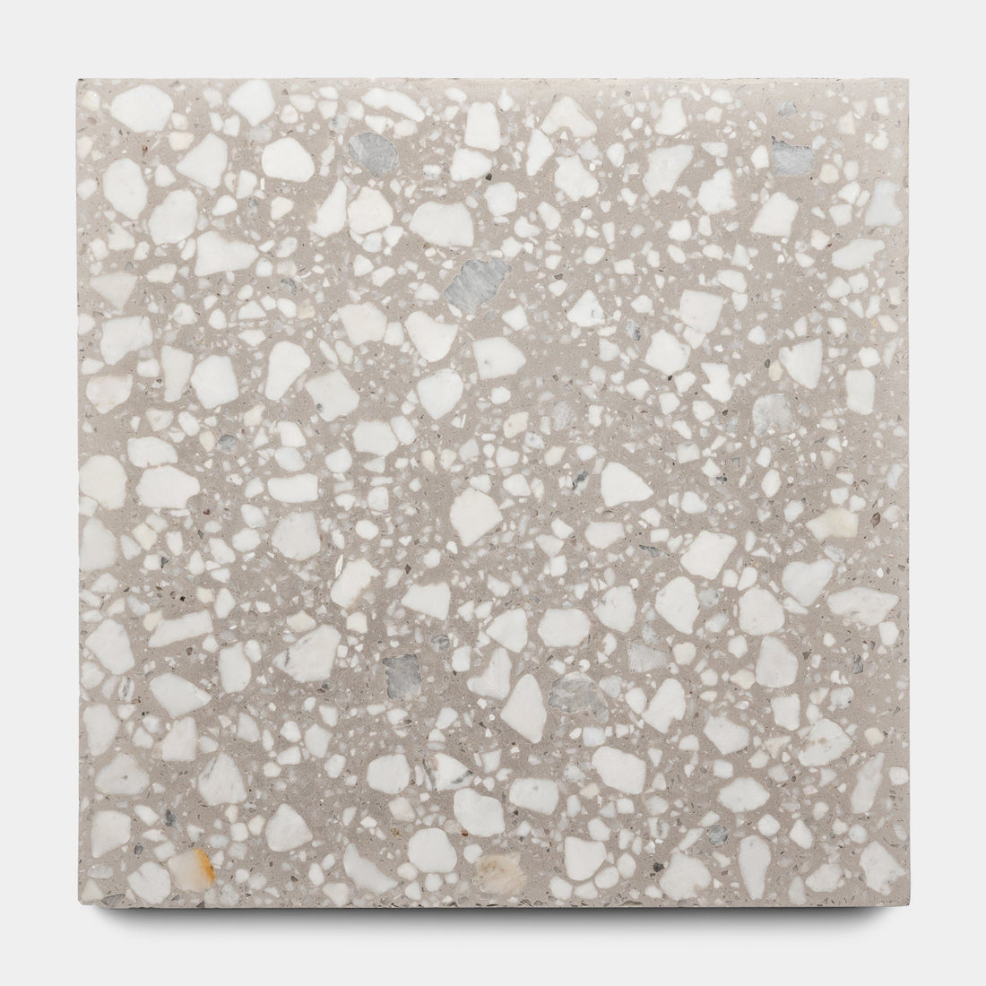Ace 12x12 Terrazzo