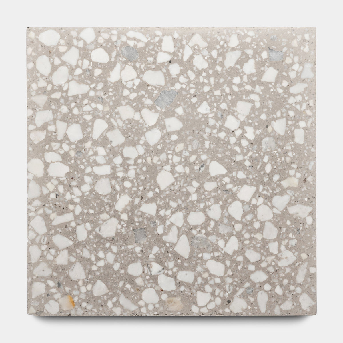 Ace 12x12 Terrazzo