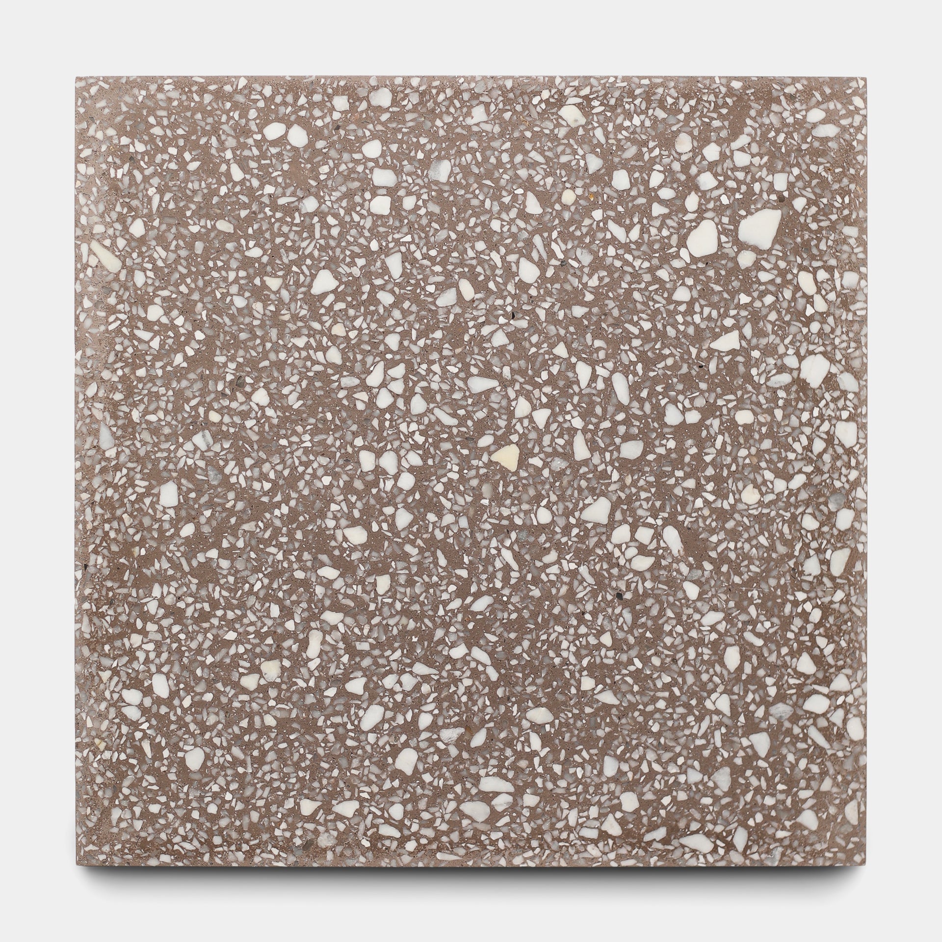 Alexander 12x12 Terrazzo