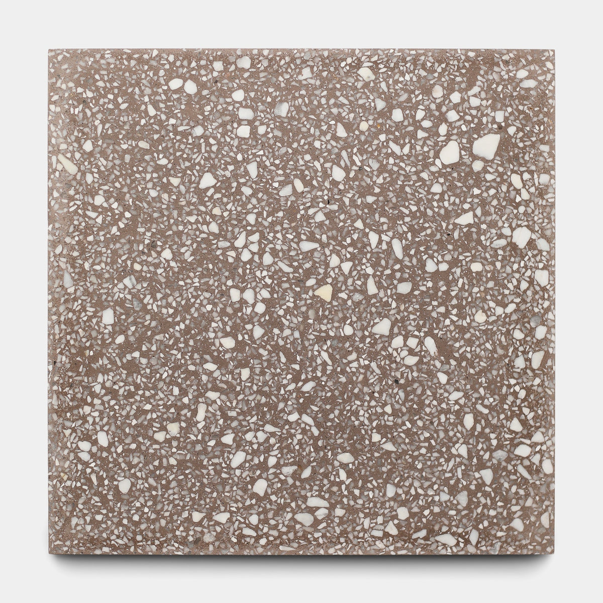 Alexander 12x12 Terrazzo