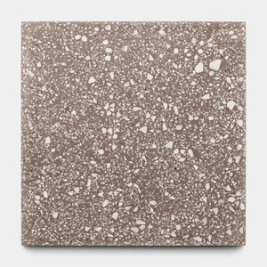 Alexander 12x12 Terrazzo