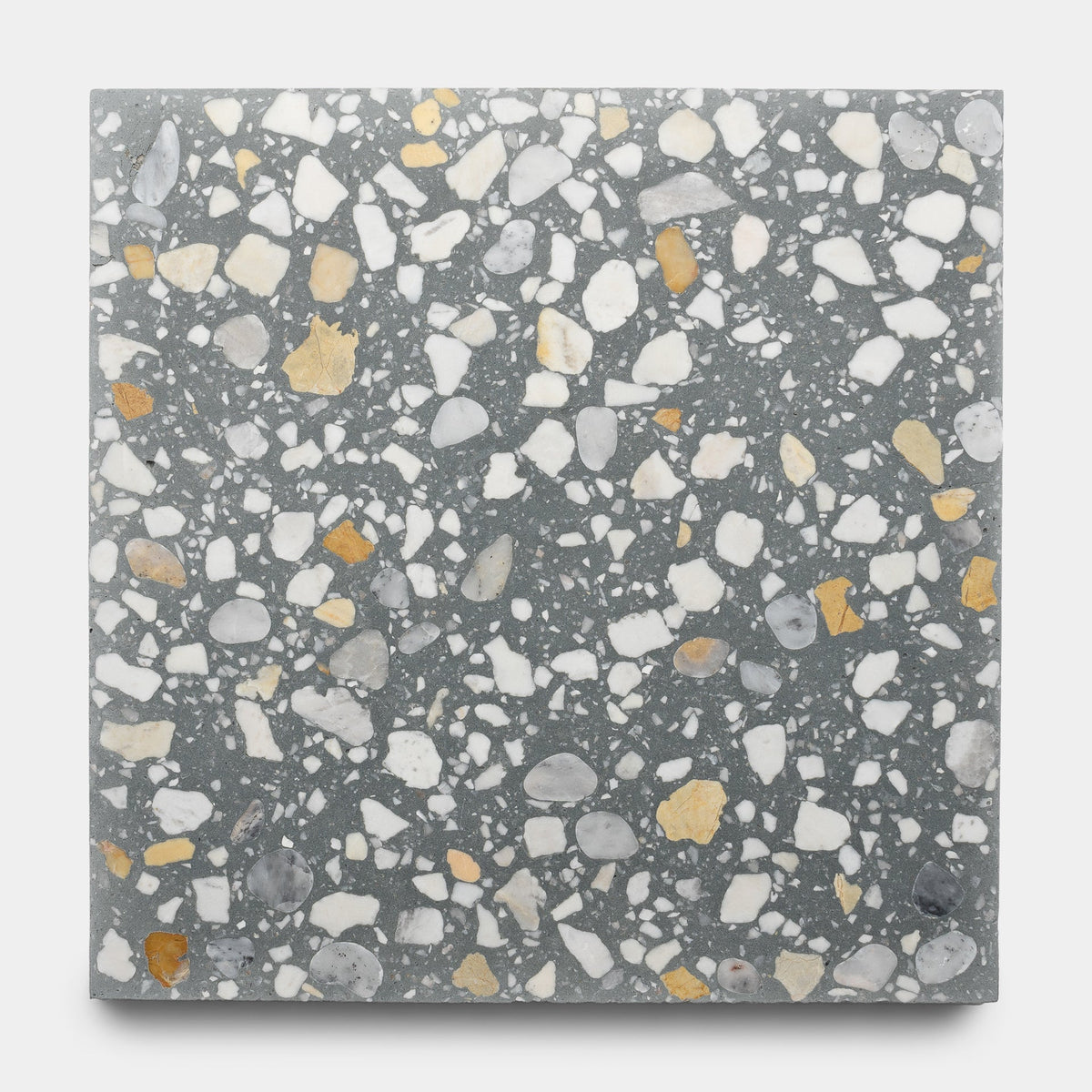 Andromeda 12x12 Terrazzo