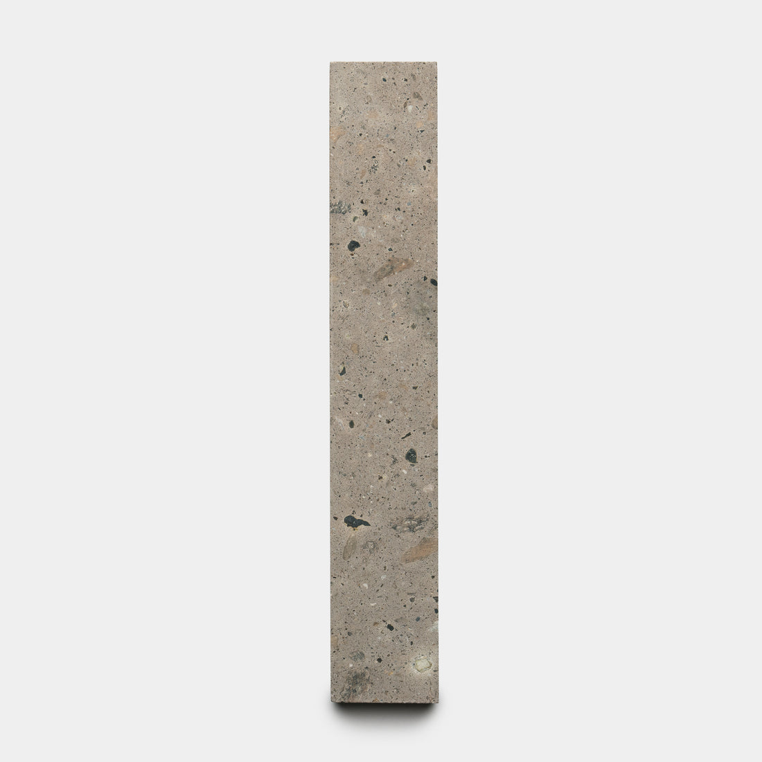 The Badlands 2x12 by Zia Tile is a tall, rectangular tile in light gray with small dark specks and an irregular texture, shown standing upright against a plain white background.
