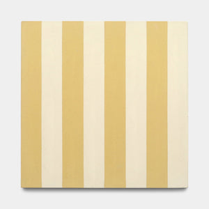 Bateau Mojave 8X8 Cement