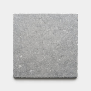 Heathered 12x12 Belgian Bluestone