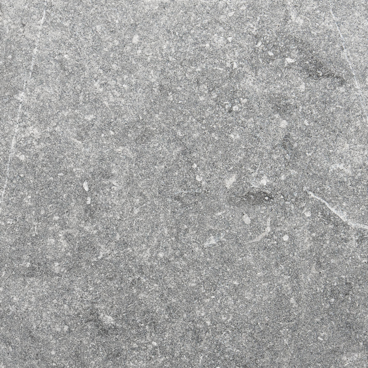 Heathered 12x12 Belgian Bluestone