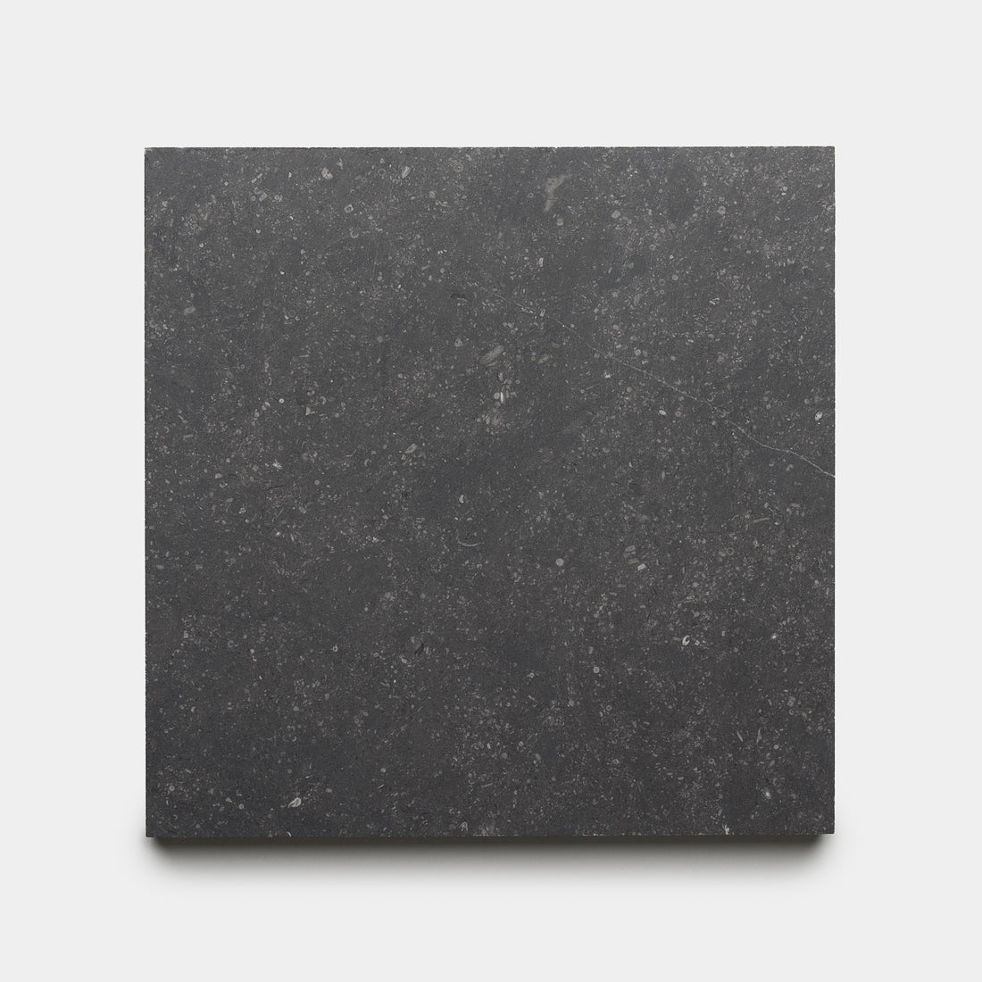 Honed 12x12 Belgian Bluestone