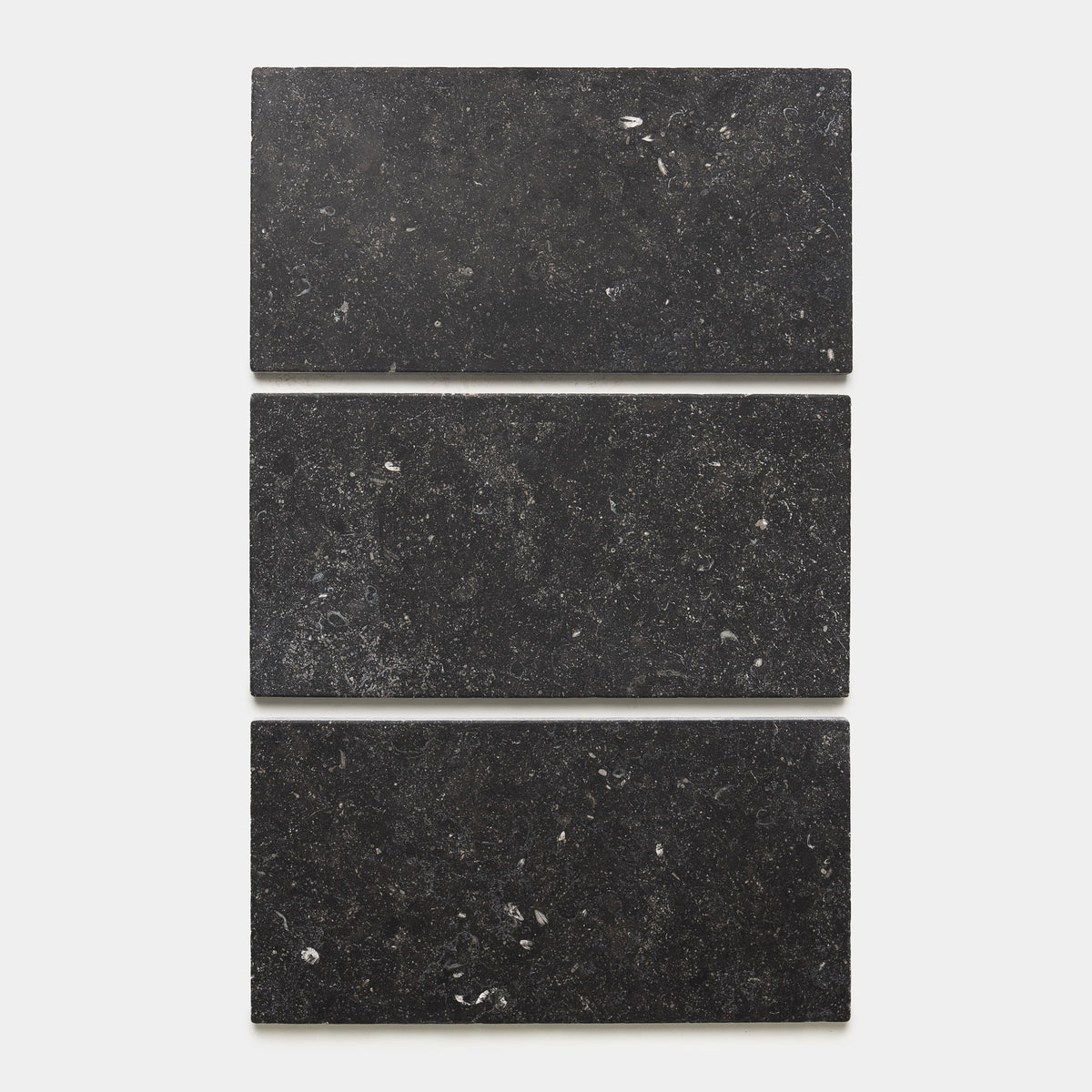 Antique Polished 12x24 Belgian Bluestone