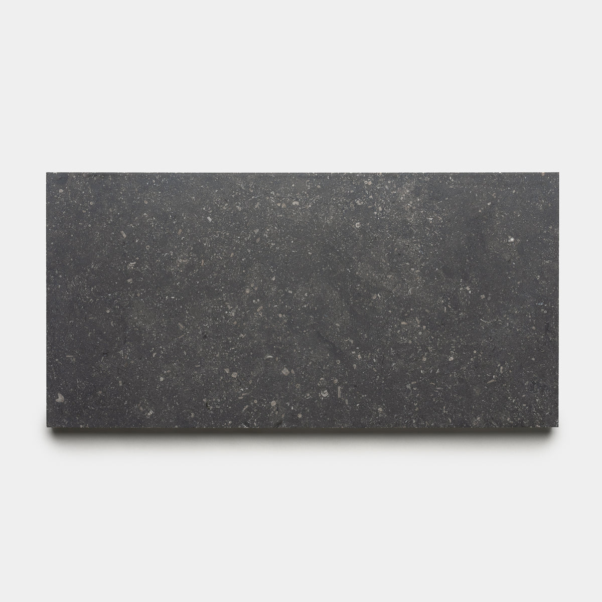 Honed 12x24 Belgian Bluestone