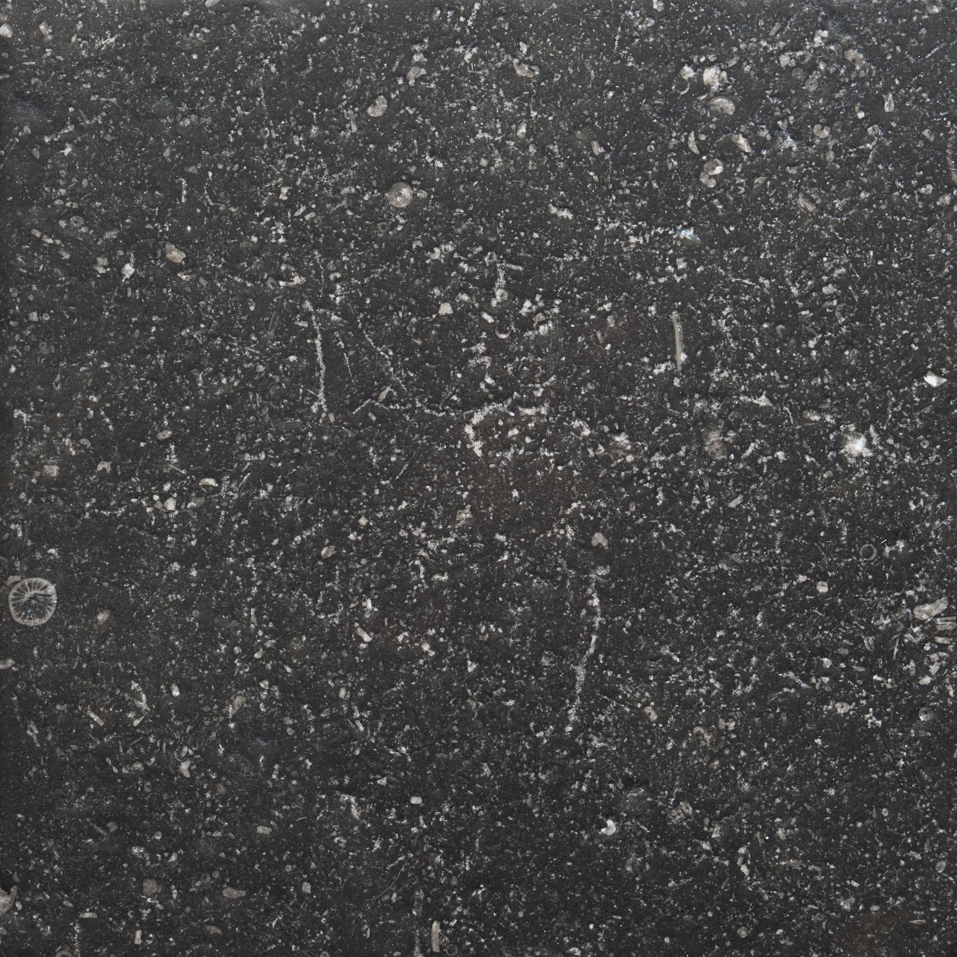 youyix241ページ Antique Polished 24x24 Belgian Bluestone – Zia Tile