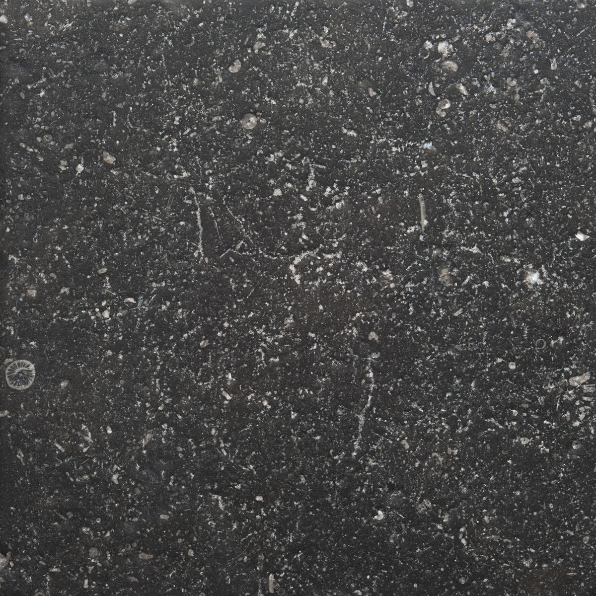 Antique Polished 24x24 Belgian Bluestone