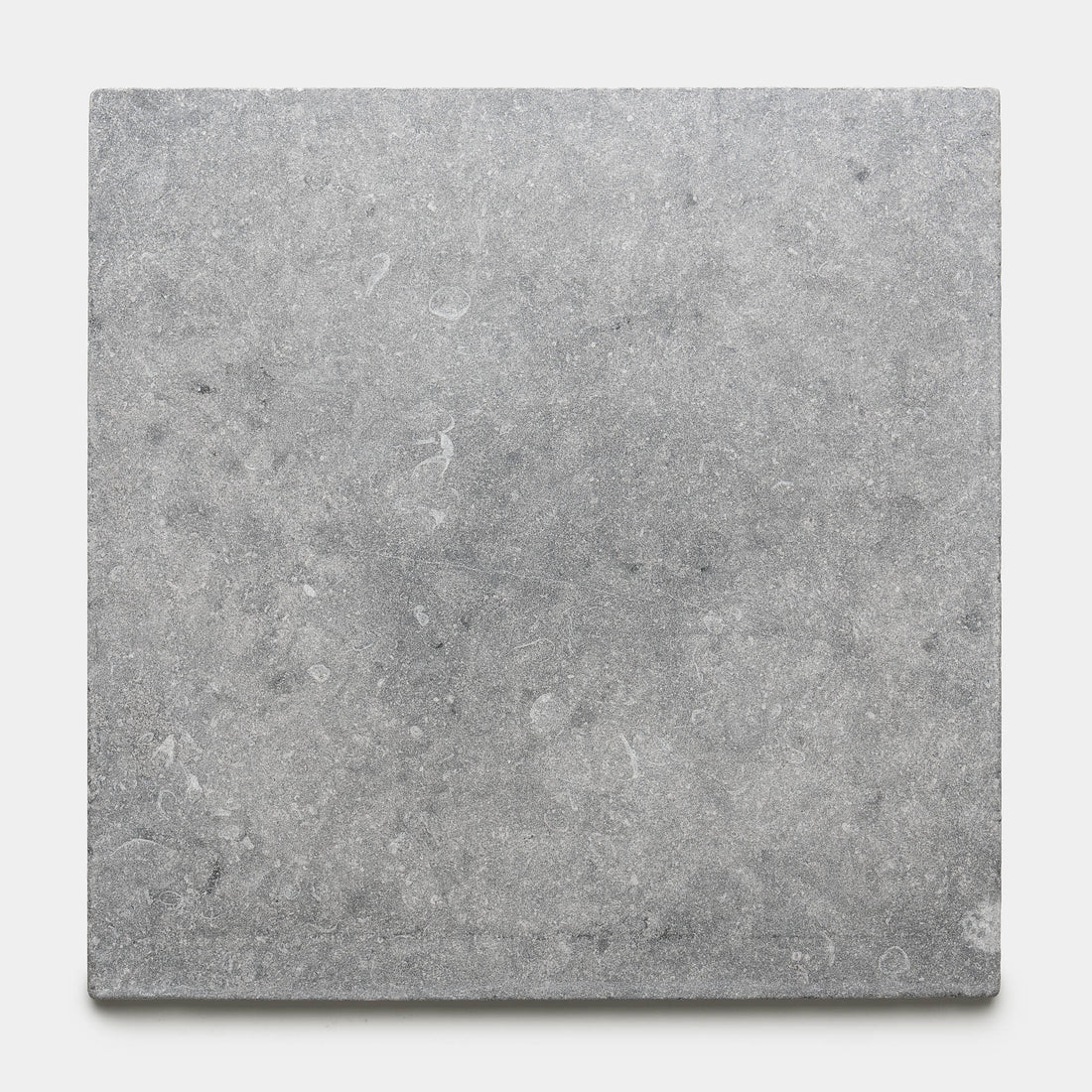 Heathered 24x24 Belgian Bluestone