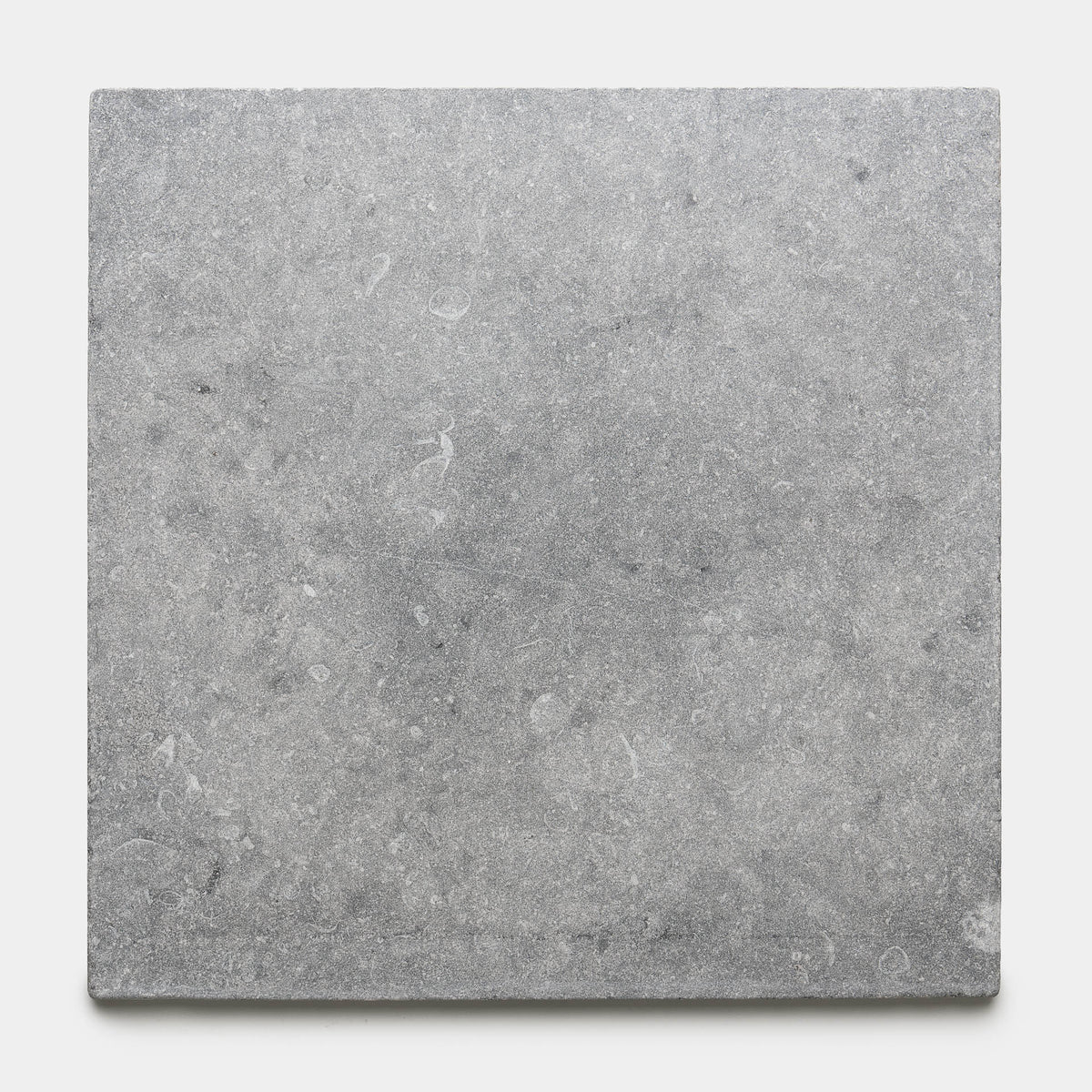 Heathered 24x24 Belgian Bluestone