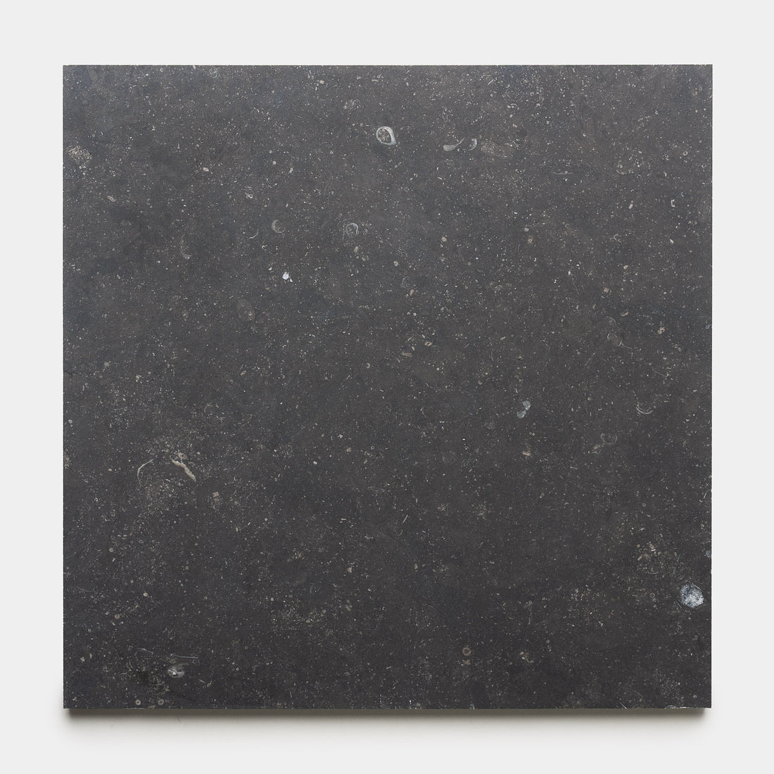 Honed 24x24 Belgian Bluestone