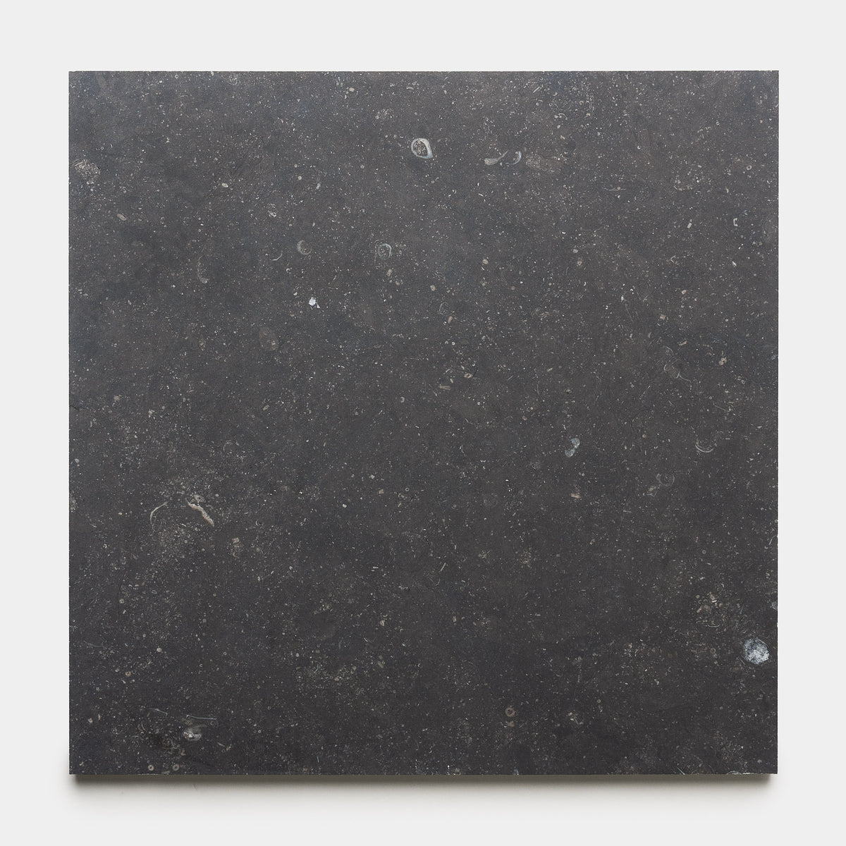 Honed 24x24 Belgian Bluestone