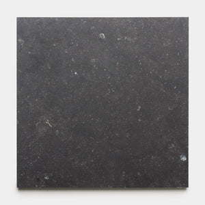 Honed 24x24 Belgian Bluestone