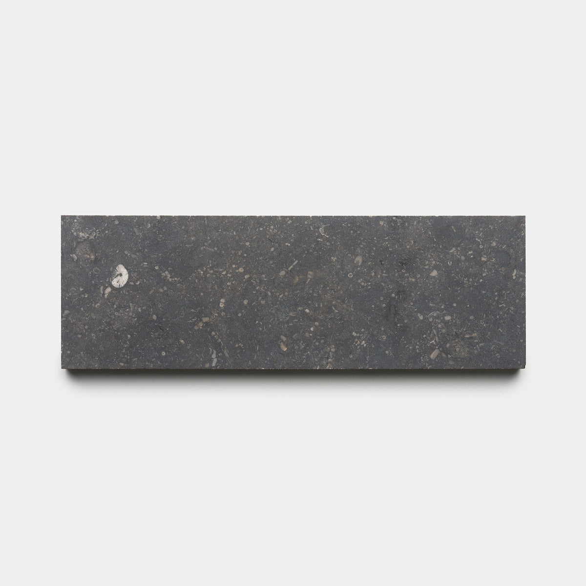 Honed 4x12 Belgian Bluestone