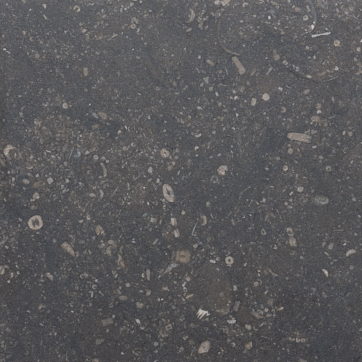 Honed 4x12 Belgian Bluestone