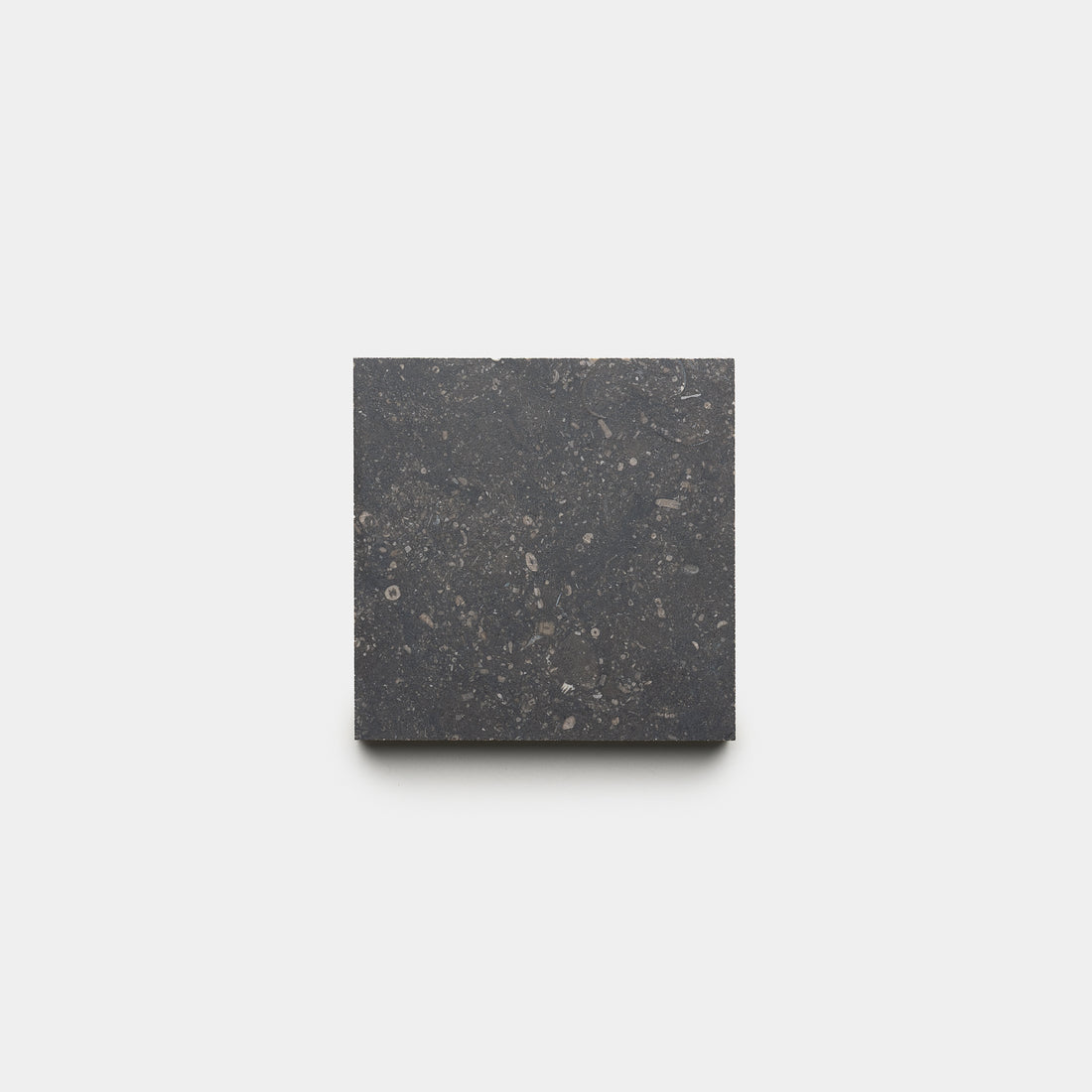 Honed 6x6 Belgian Bluestone