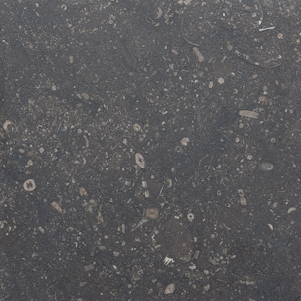 Honed 6x6 Belgian Bluestone