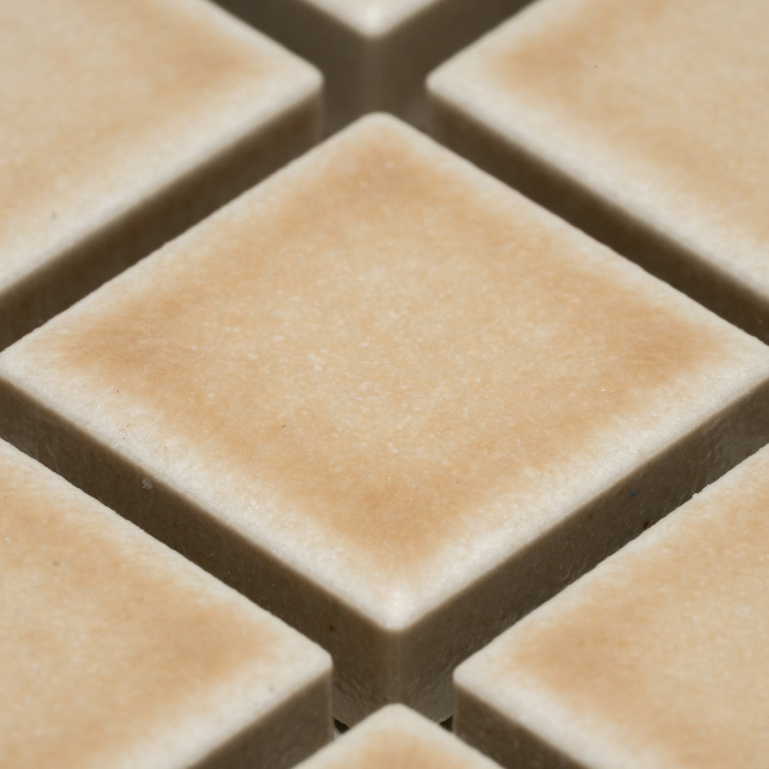Close-up of Biscuit 1x1 beige square ceramic tiles by Zia Tile, arranged in a grid with small gaps, highlighting their smooth, slightly textured surface and clean edges.