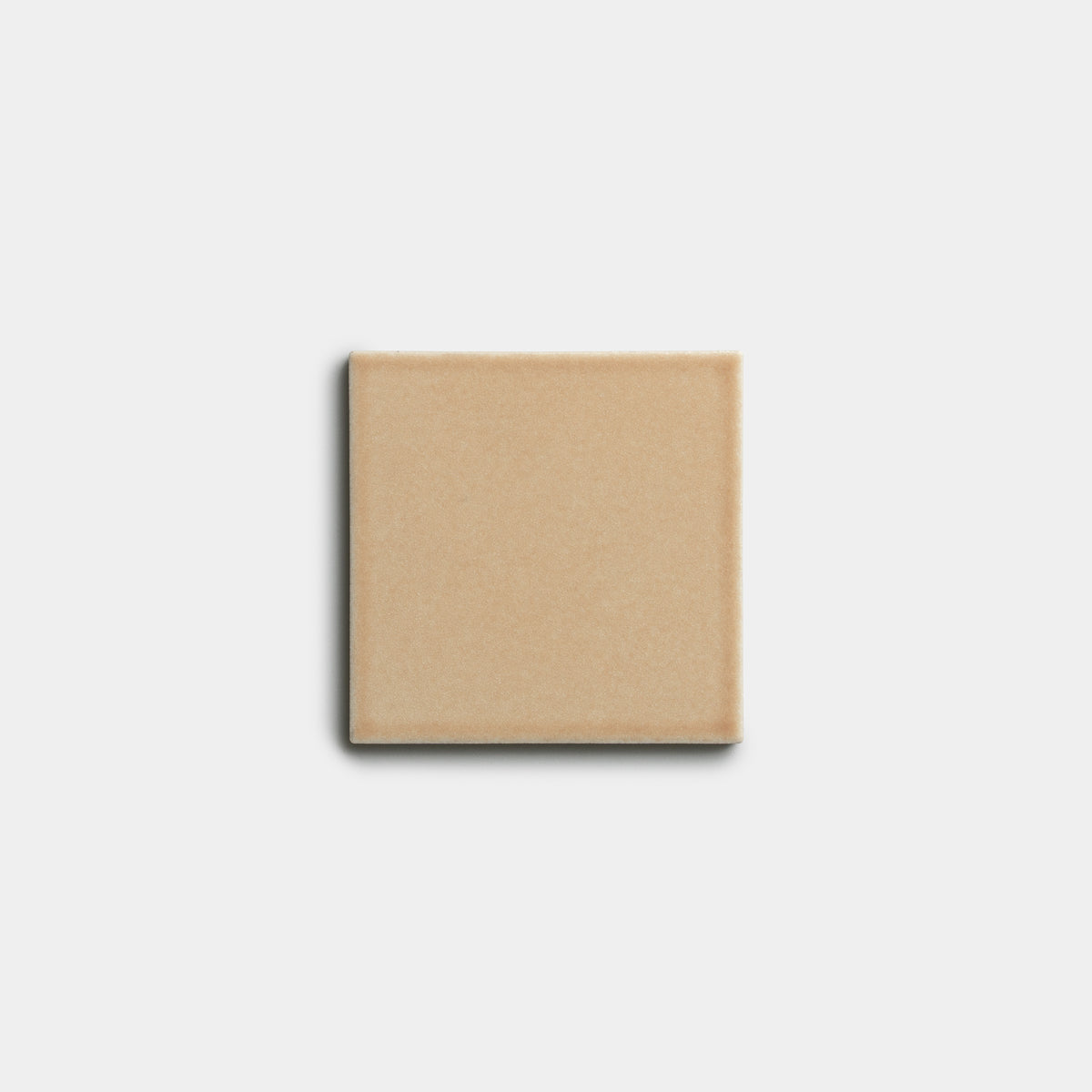 A single Biscuit 4x4 plain square tile by Zia Tile is centered on a white background.