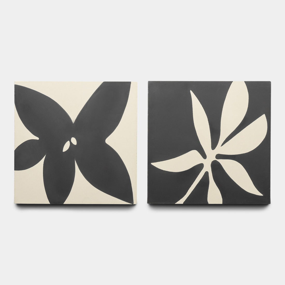 Flora 8x8 Set Black + Bone