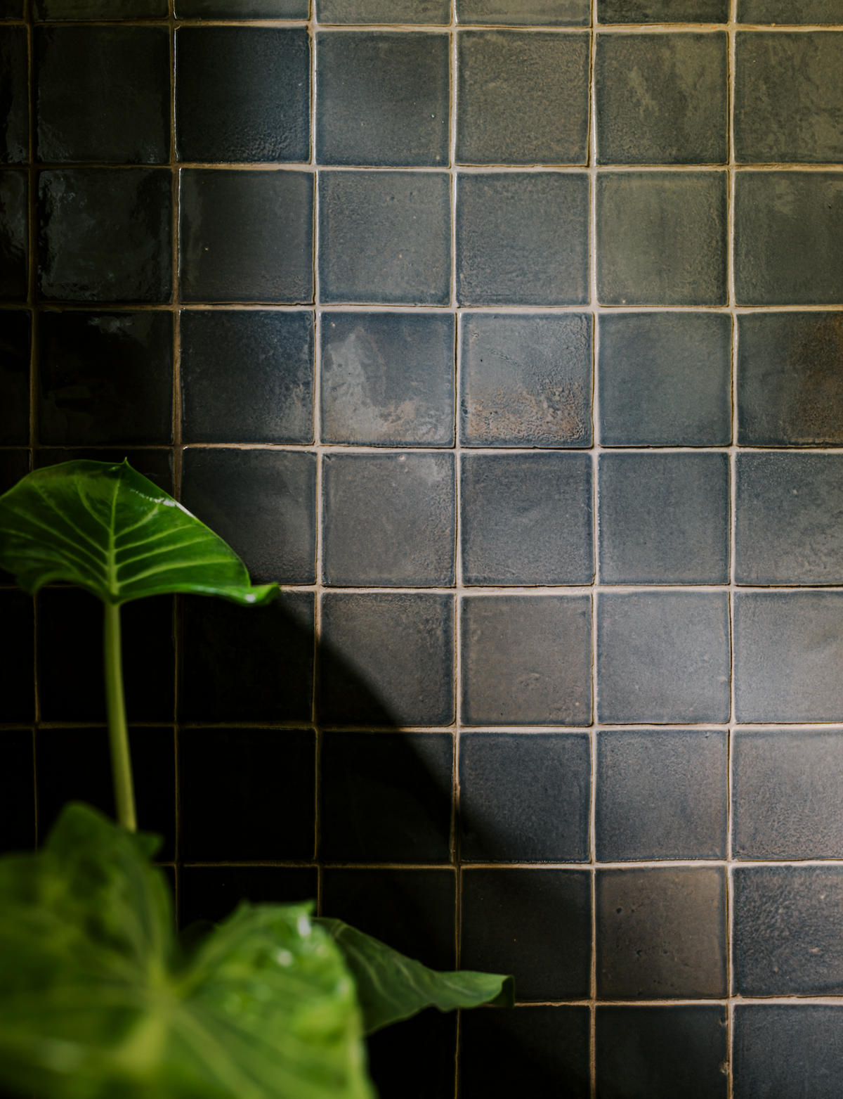 Cacao 4x4 Square Cotto Allende – Zia Tile Cacao 4x4 Square Cotto Allende – Zia Tile