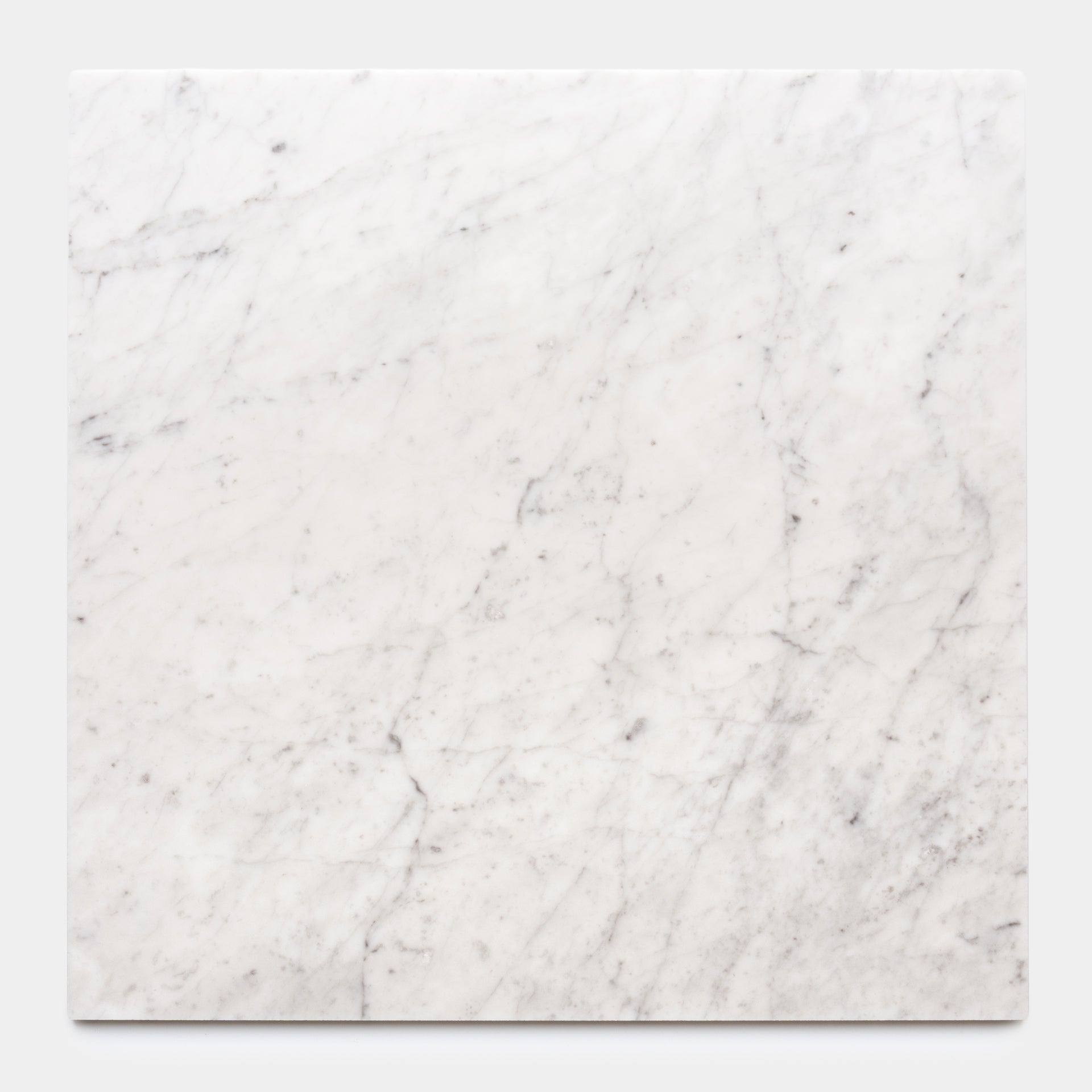 Carrara 24x24 – Zia Tile