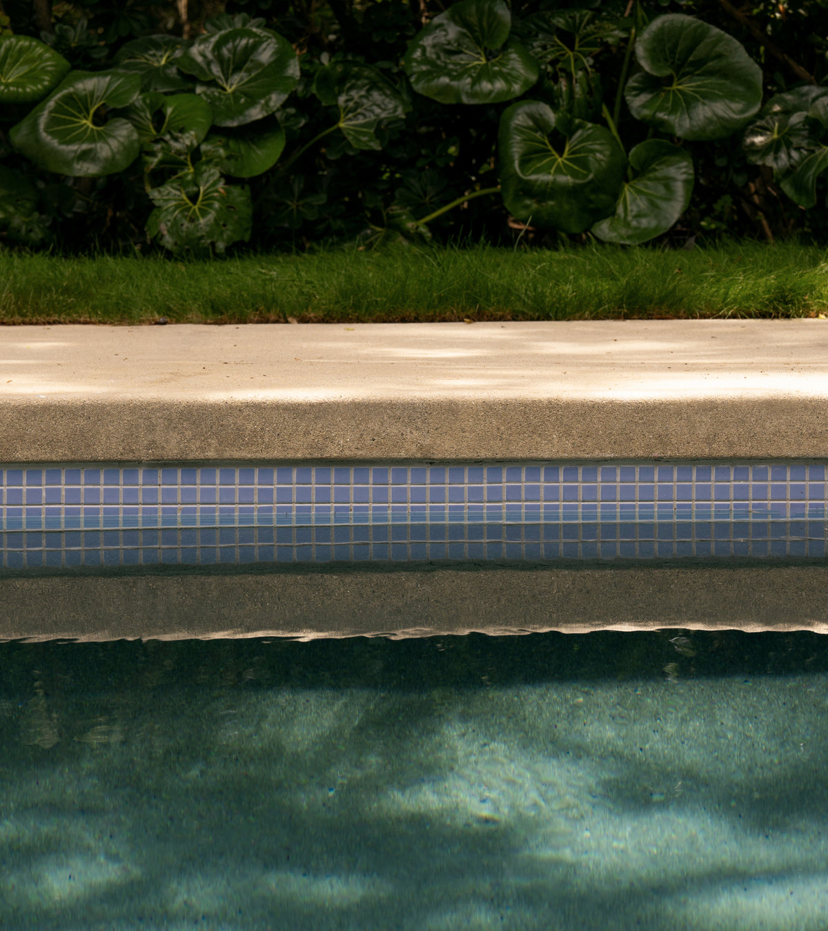 Cornflower 1x1 small square light blue tiles lining the edge of a swimming pool beneath a concrete coping.