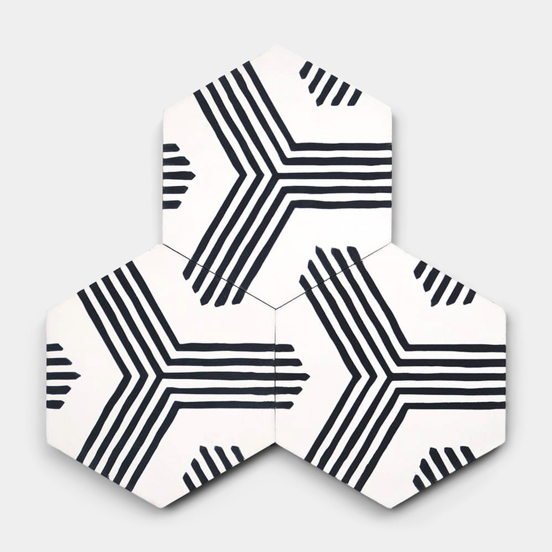 Echo White + Black Hex