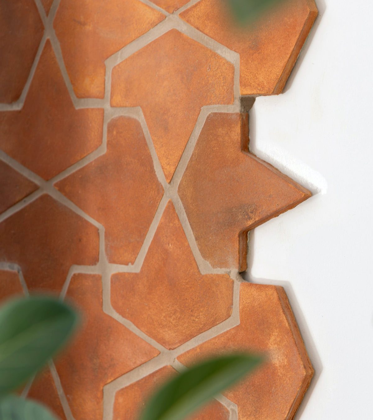 Terracotta tiles with geometric star patterns are arranged on a white wall. Some green leaves are visible in the foreground, partially framing the image.