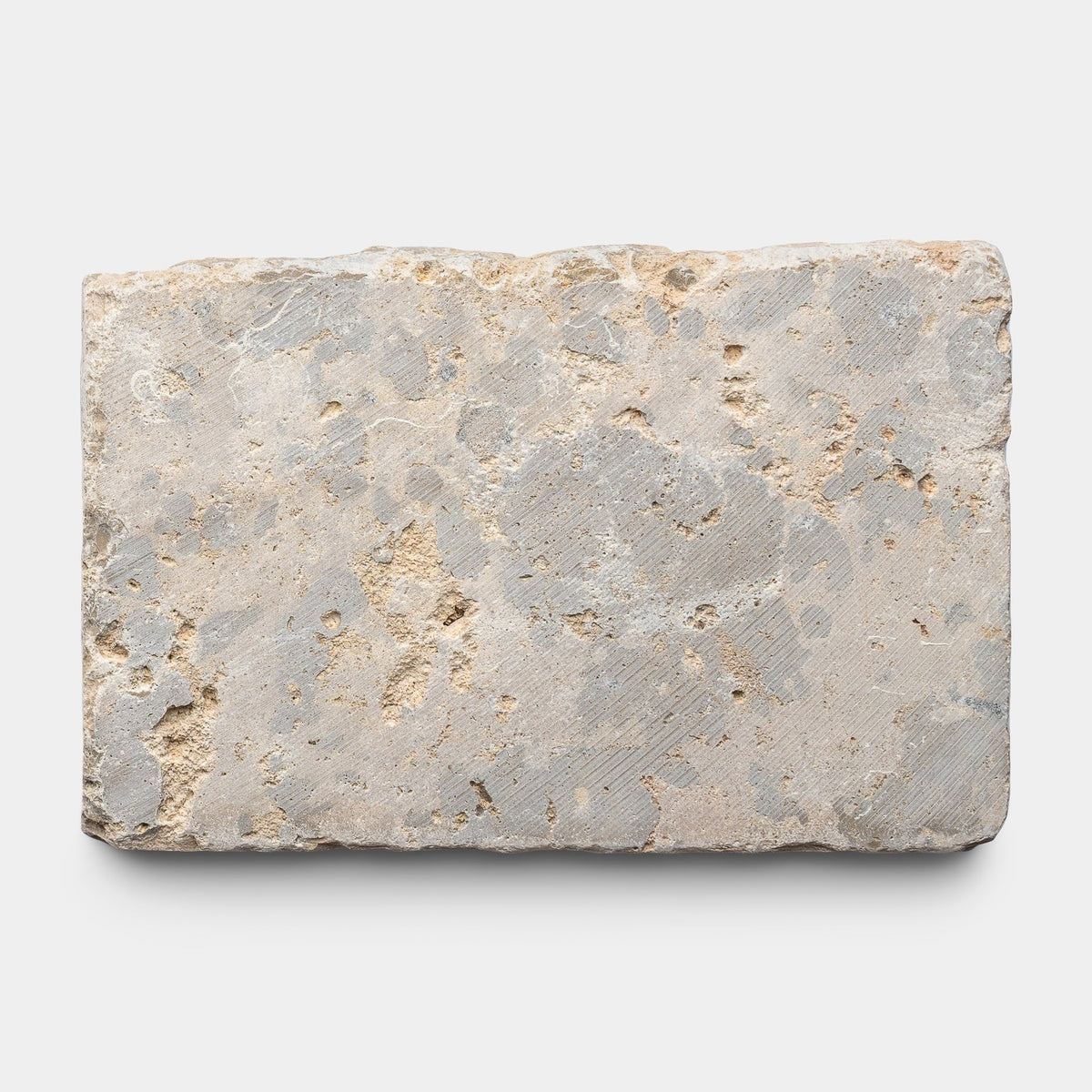 A single French Cobblestone Sample by Zia Tile, rectangular with rough, weathered edges and a textured, mottled surface in light gray and beige tones, shown on a plain white background.