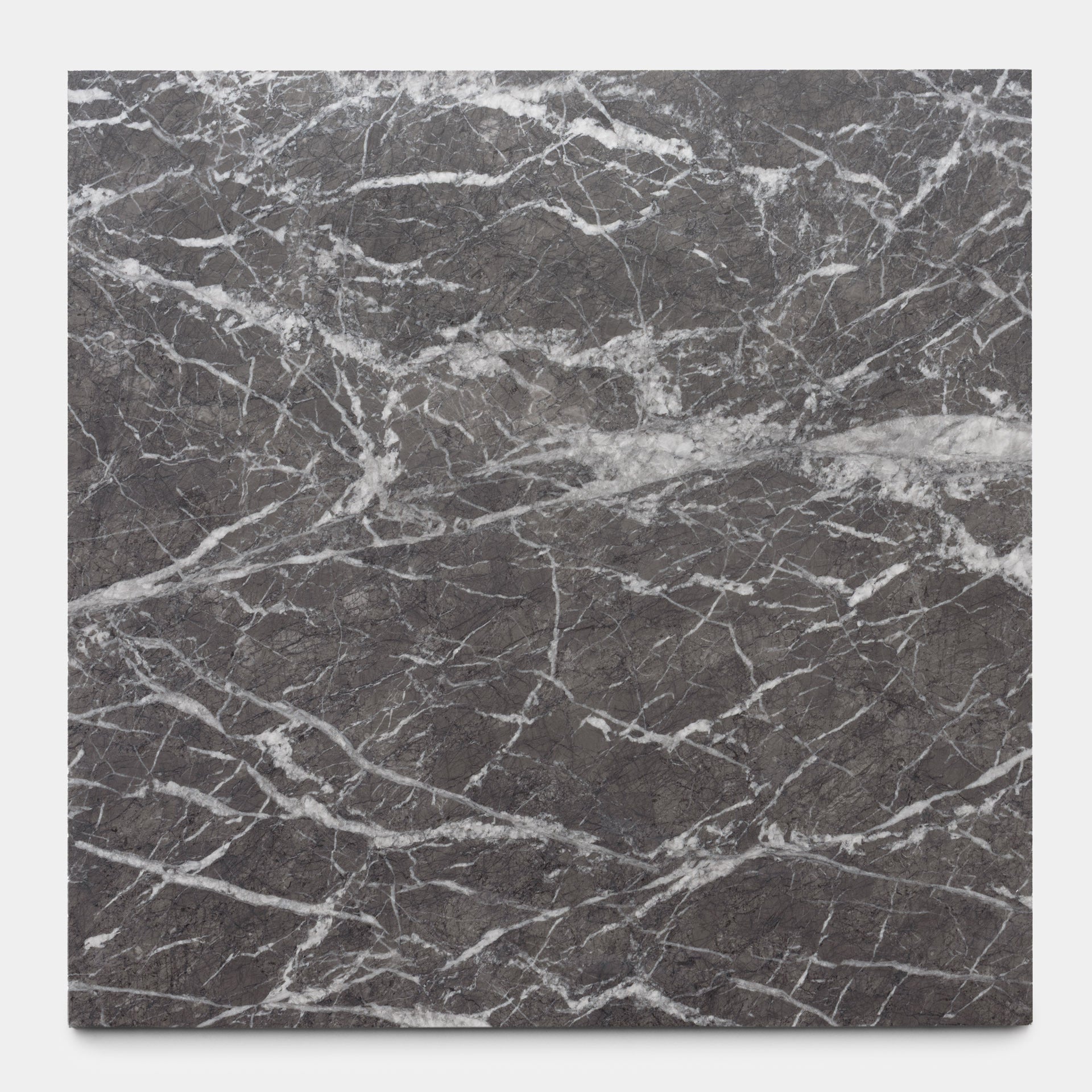 Grigio Carnico 24x24