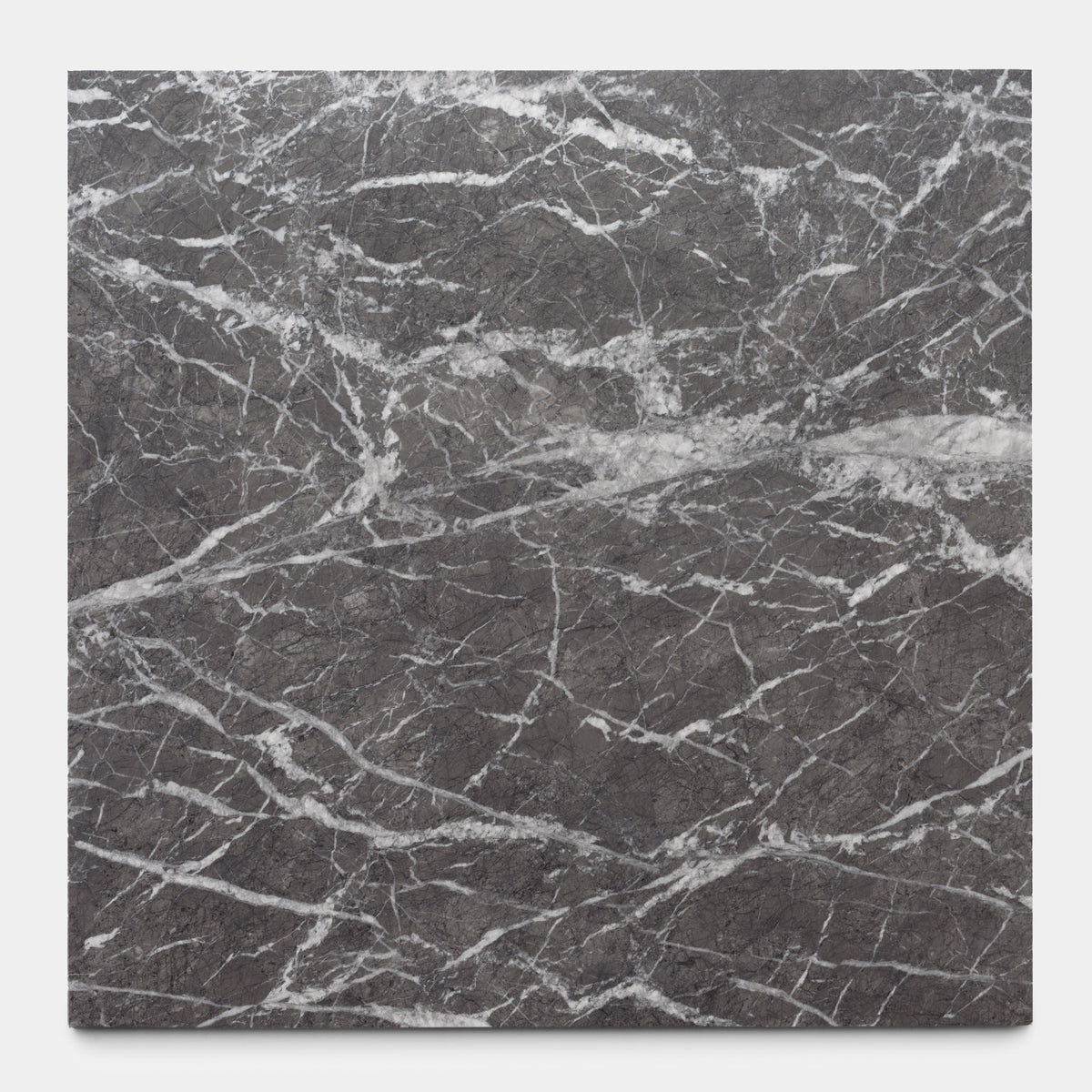 Grigio Carnico 24x24
