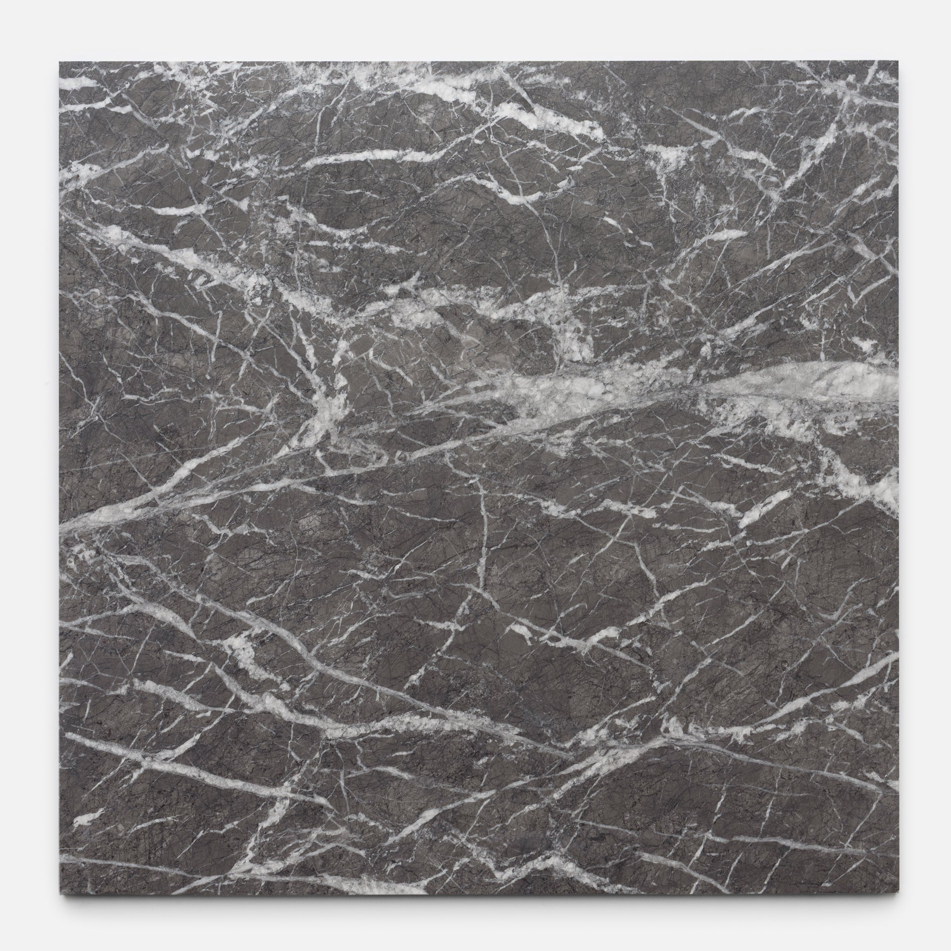 Grigio Carnico 24x24 Marble